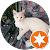 Bobbles The Environmentalist Kitten Bobbles The Environmentalist Kitten