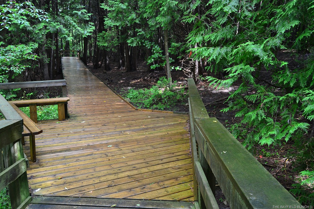 [DSC_0028%255B3%255D.jpg]