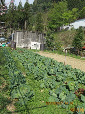 2013 恩愛農場 - 160