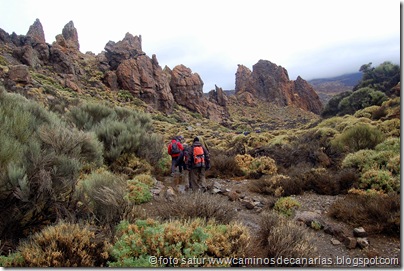 043 Cañadas del Teide 043 Cañadas del Teide