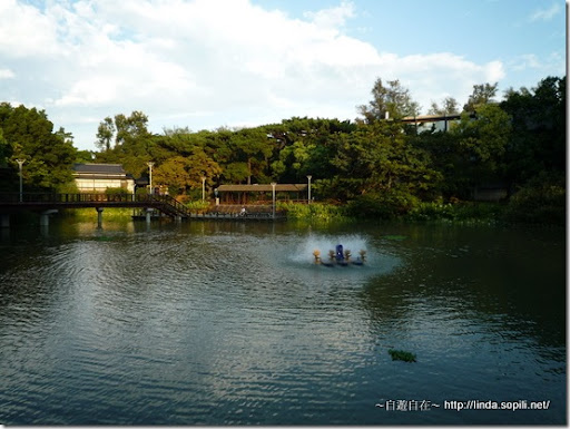 新竹公園-麗池-3