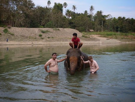 10. Cu un elefant in Thailanda.JPG