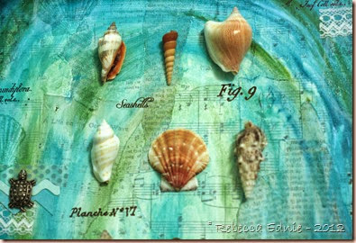sea shell mm canvas5