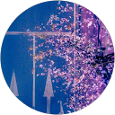 Tracy Li profile picture