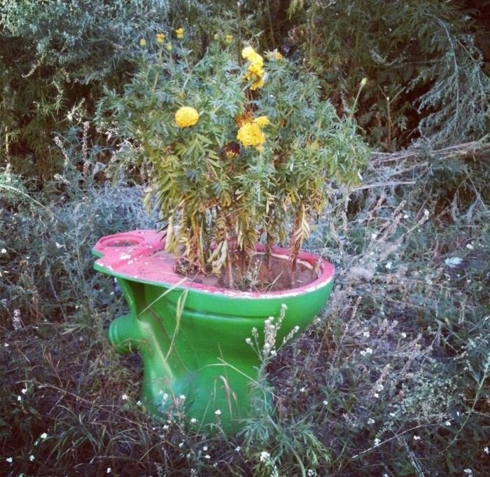 [reciclando%2520%252860%2529.jpg]