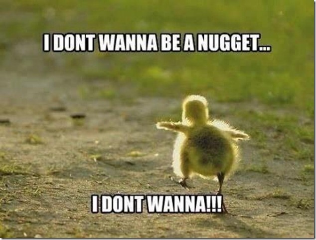 i-dont-wanna-be-a-nugget