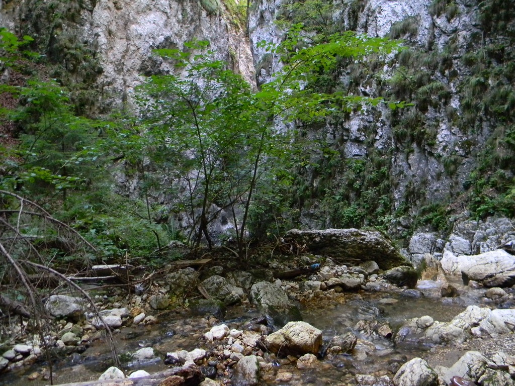 [DSCN53583.jpg]