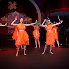 IMG_9286.jpg