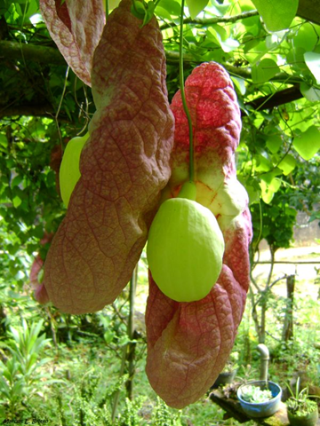 [image%255B7%255D.png]