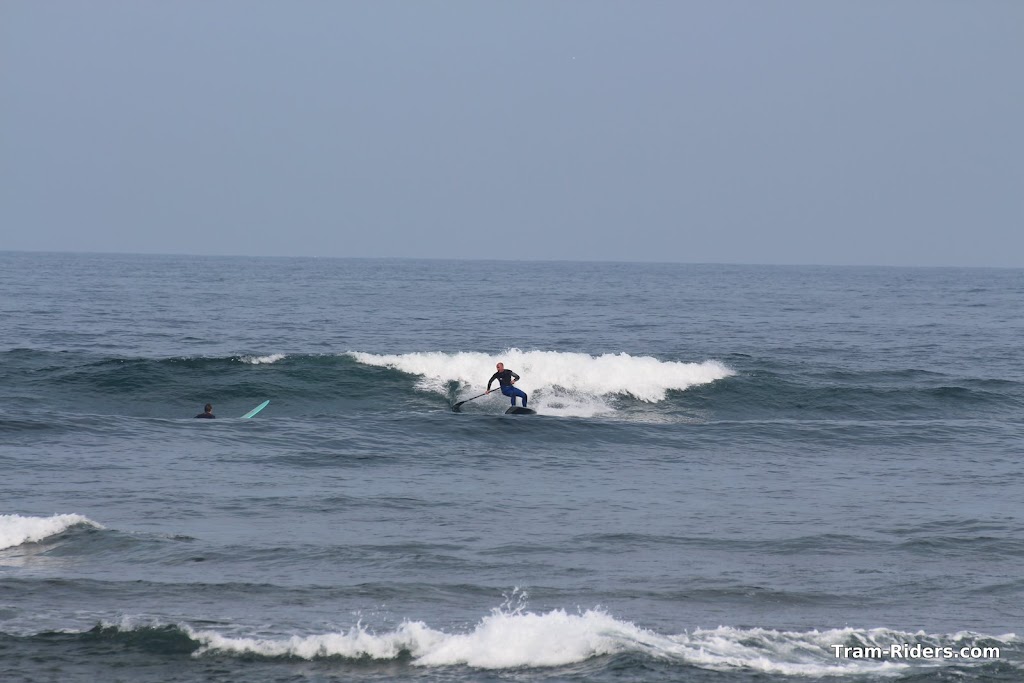 IMG_8111.JPG