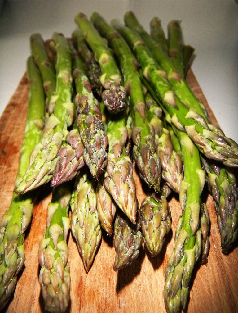 [DSCN1631%255B5%255D.jpg]