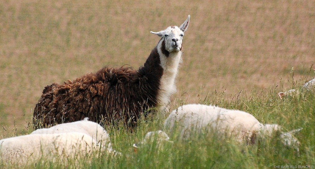 [DSC_9827%255B3%255D.jpg]