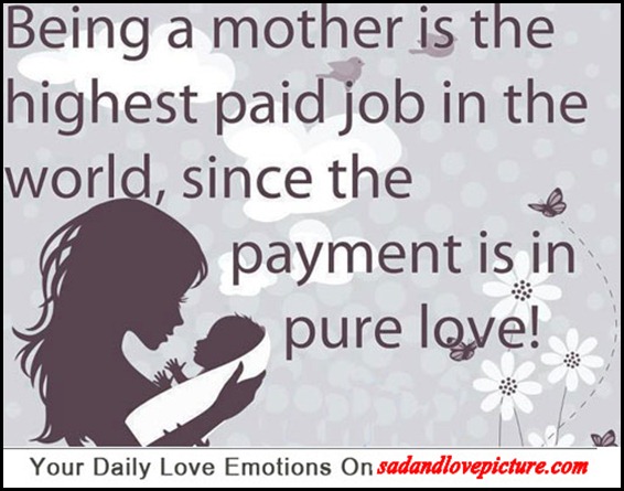 love mother in law quotes