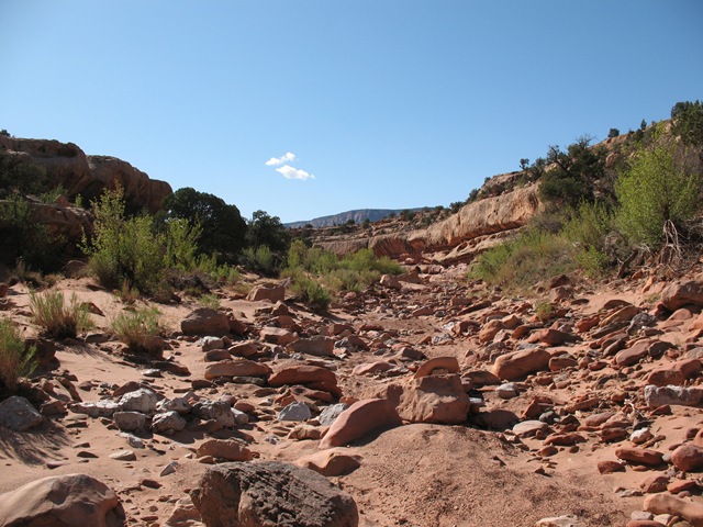 [20120416FryCanyonUT31.jpg]