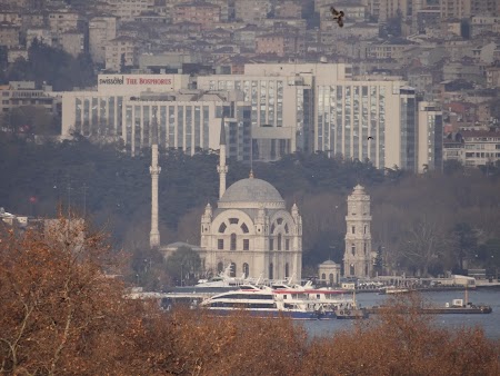 Moscheea Dolmabahce si Swissotel Istanbul