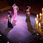 IMG_7238.jpg