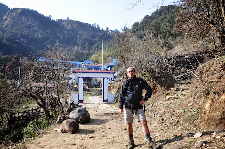 Trekking in Himalaya: Sosirea in Ghorepani