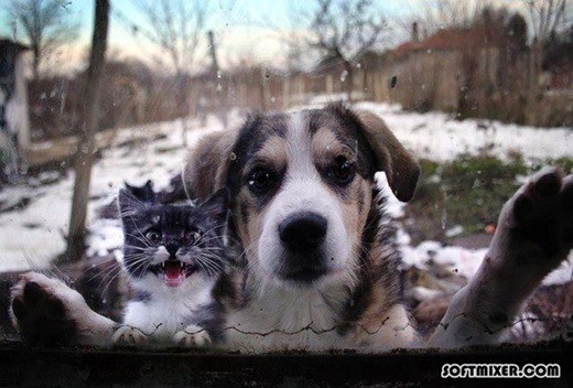 [30364_501442623210816_1948932935_n%255B7%255D.jpg]