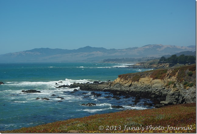 View of the Pacific Ocean from the Fiscalini Ranch Bluff Trail