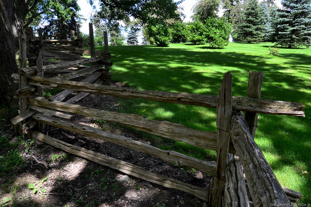 [DSC_0075%255B4%255D.jpg]