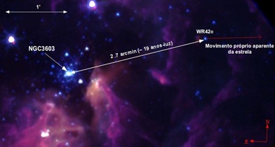 localização da estrela WR42e