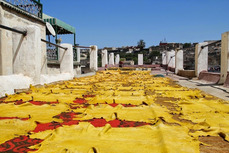 tannery-fez-4 tannery-fez-4
