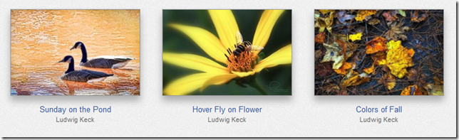 FAA-HoverFly FAA-HoverFly
