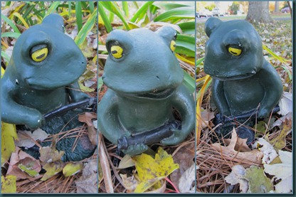 frog gardeners