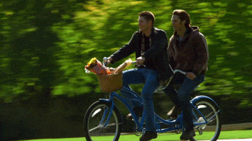 tumblr_m38um7a9YG1r7nw7co1_500.gif