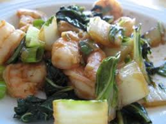 Spicy Shrim & Bok Choy