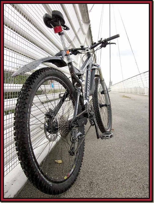 Stumpy takes a break on the TPT footbridge over the M60 motorway