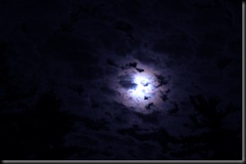 wandmakermoon