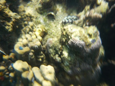 P1050307.JPG
