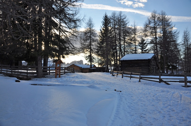 DSC_8200.JPG DSC 8200
