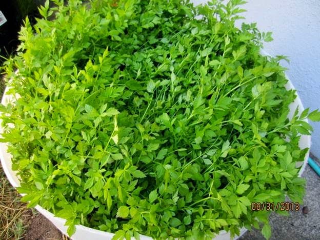 [clip_image002%255B4%255D.jpg]