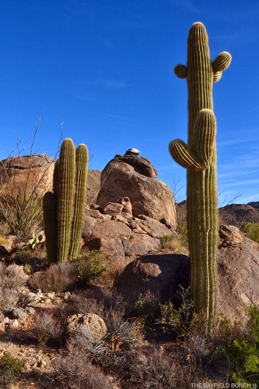 [DSC_0046%255B5%255D.jpg]