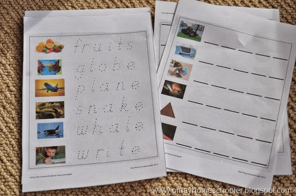 Consonant Blends Trace and Spell Worksheets
