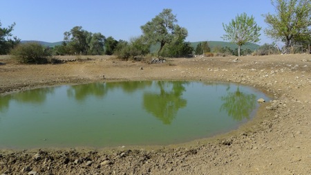 Mumcular valley turtle pond