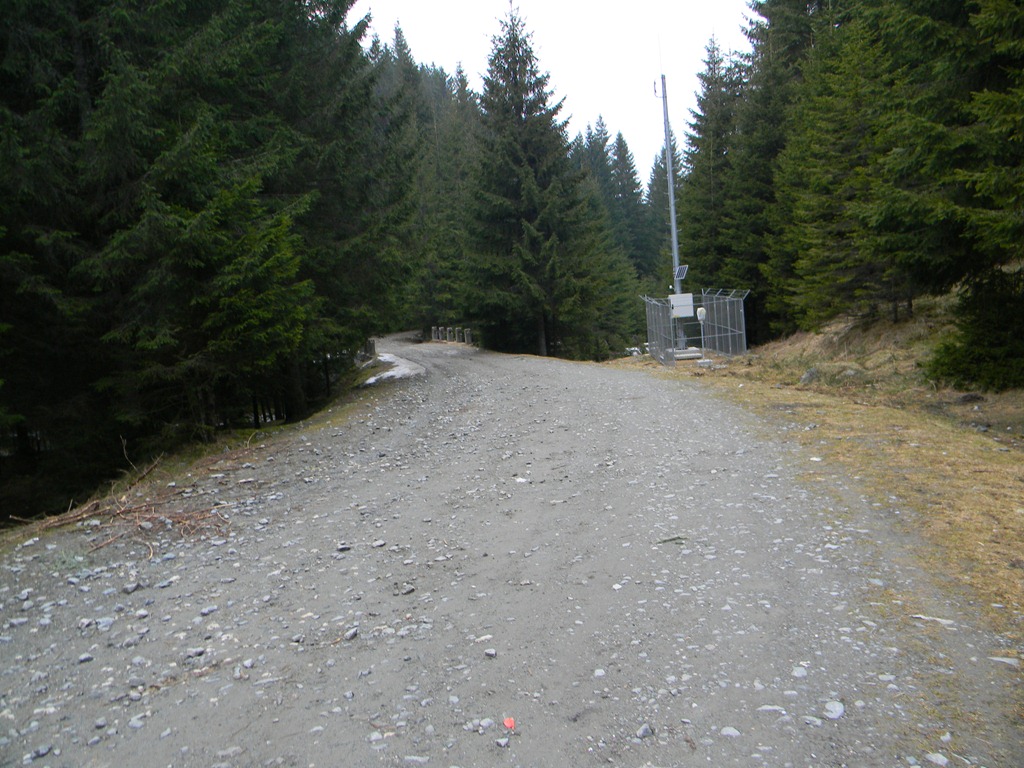 [DSCN40503.jpg]