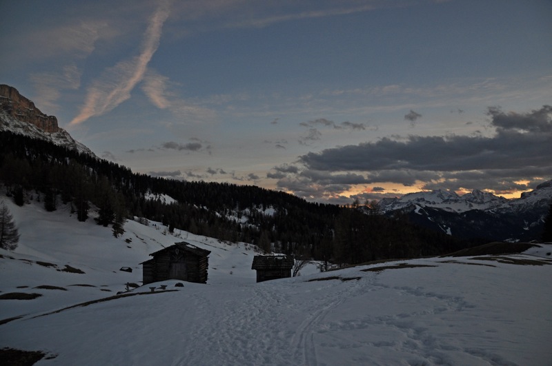 DSC_8313.JPG DSC 8313