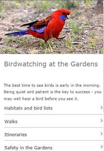 How to download ANBG Birds 1.1 unlimited apk for bluestacks