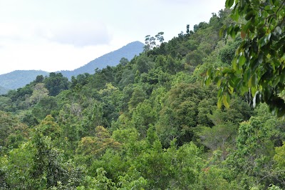 DSC_0755.JPG