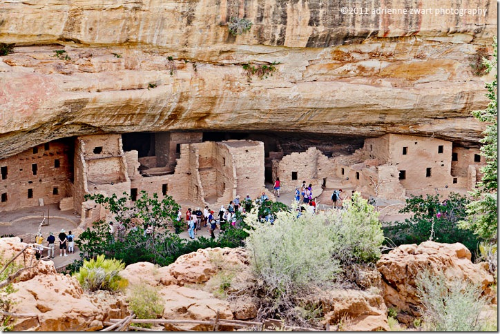 Spruce Tree House Mesa View - photo by Adrienne Zwart