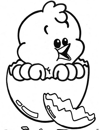 Dibujos Para Colorear Pollitos