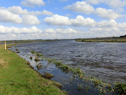 Skjern Au _ Oktober 2012 - 011