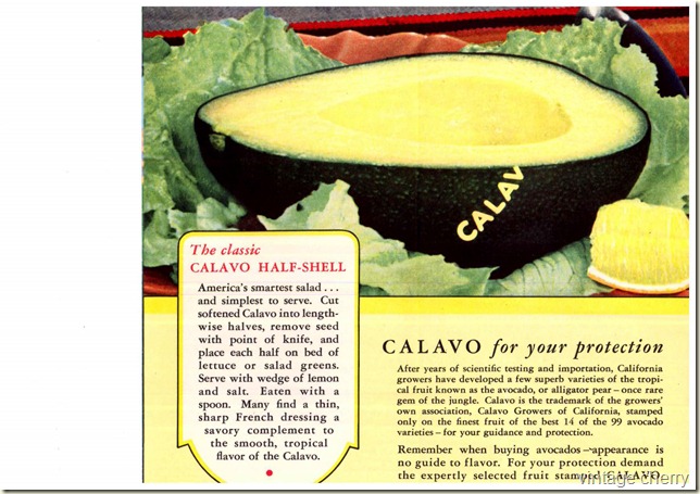 modernizing your menu’ with avocado 1942