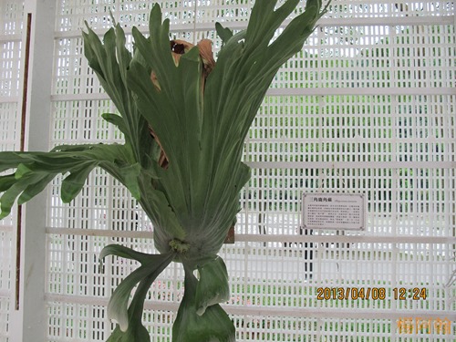 2013 綠色博覽會 - 052
