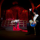 IMG_6595.jpg