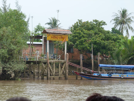 Delta Mekongului