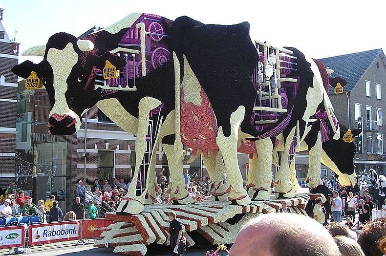 bloemencorso-11 bloemencorso-11
